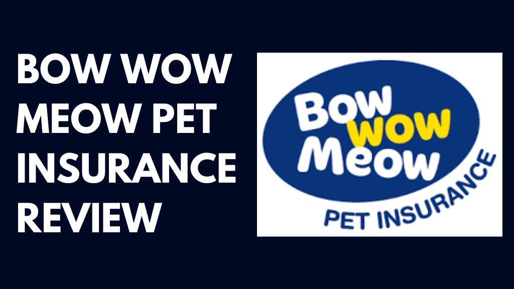 BOW WOW MEOW PET INSURANCE REVIEW 2 
